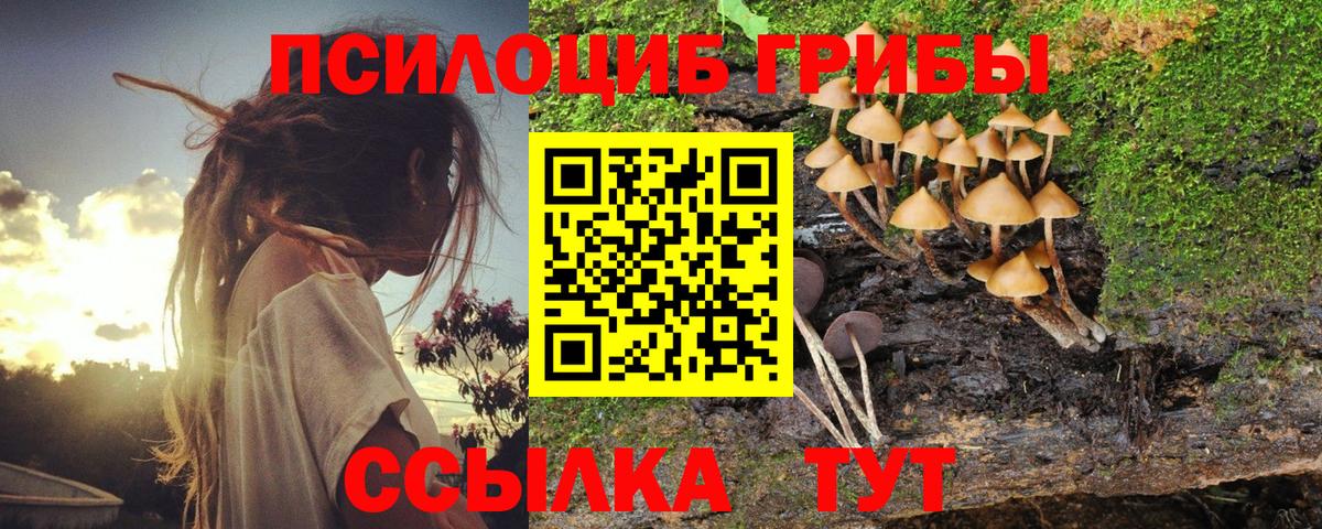 Ижевск  Псилоцибиновые грибы прущие грибы  Вход с VPN 