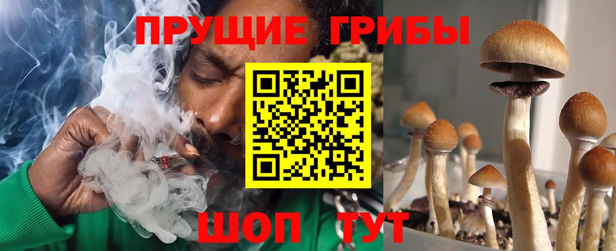 Галлюциногенные грибы прущие грибы Ижевск